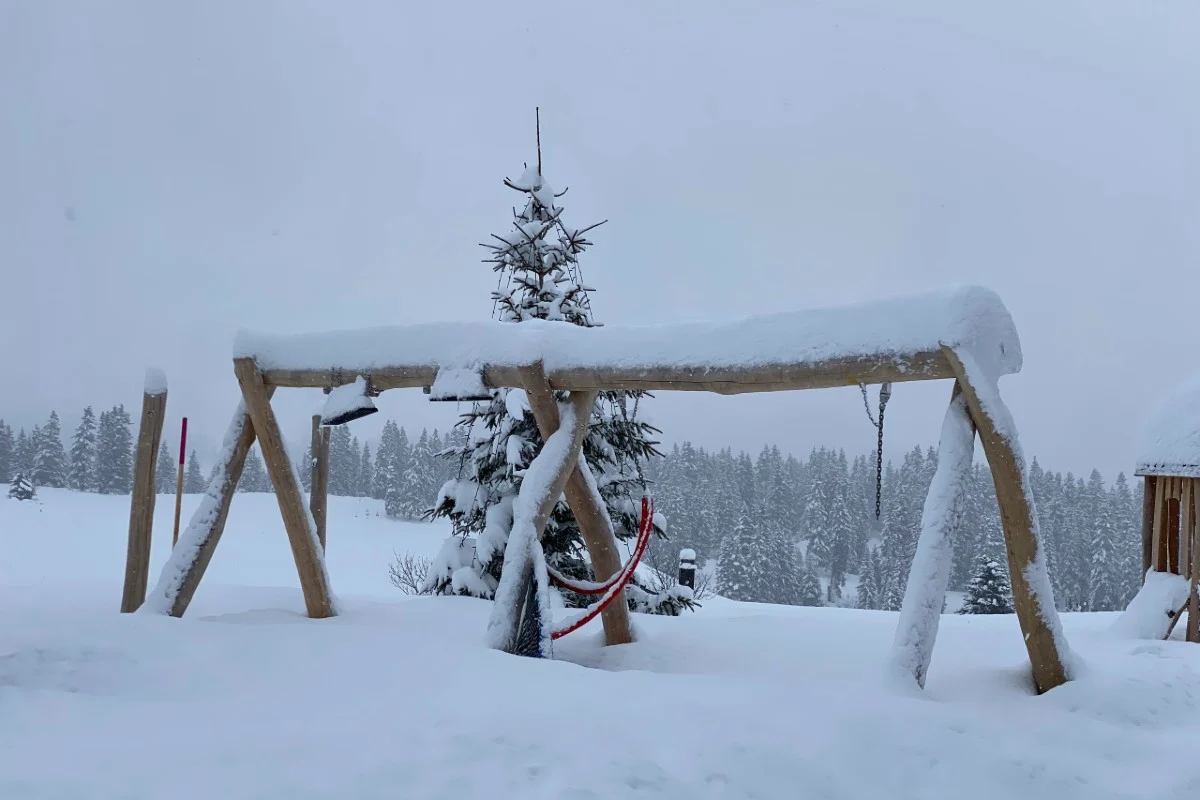 Vorwarnung - Wintereinbruch bis in tiefe Lagen zum Ende der Woche möglich!