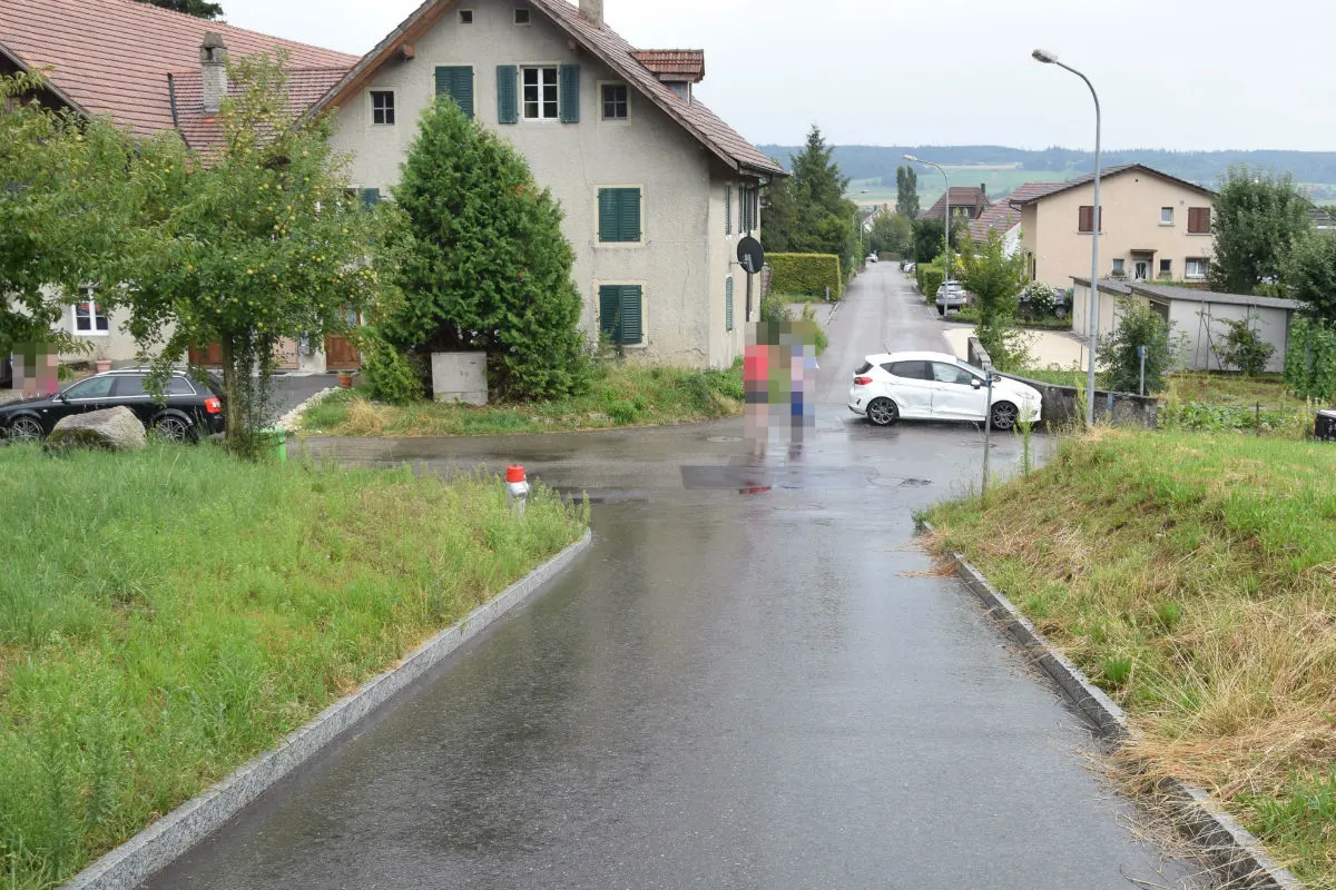 Selzach TG - Kollision auf einer Kreuzung – Zeugenaufruf  