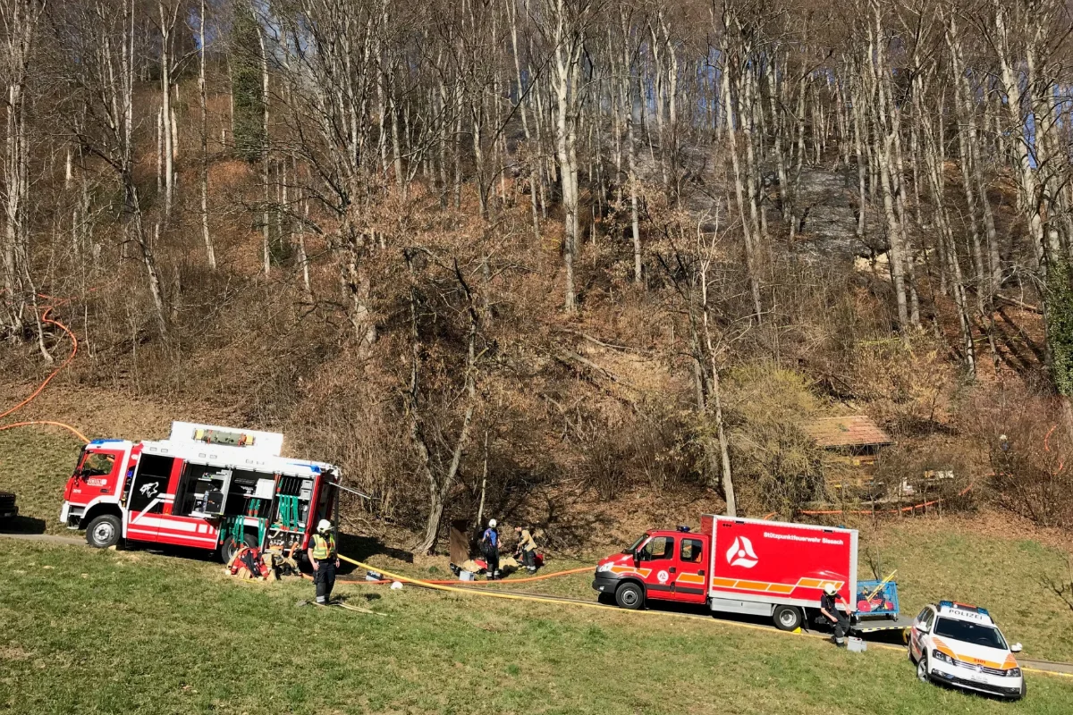 Waldenburg BL - Waldbrand erfordert Feuerwehreinsatz - Zeugenaufruf