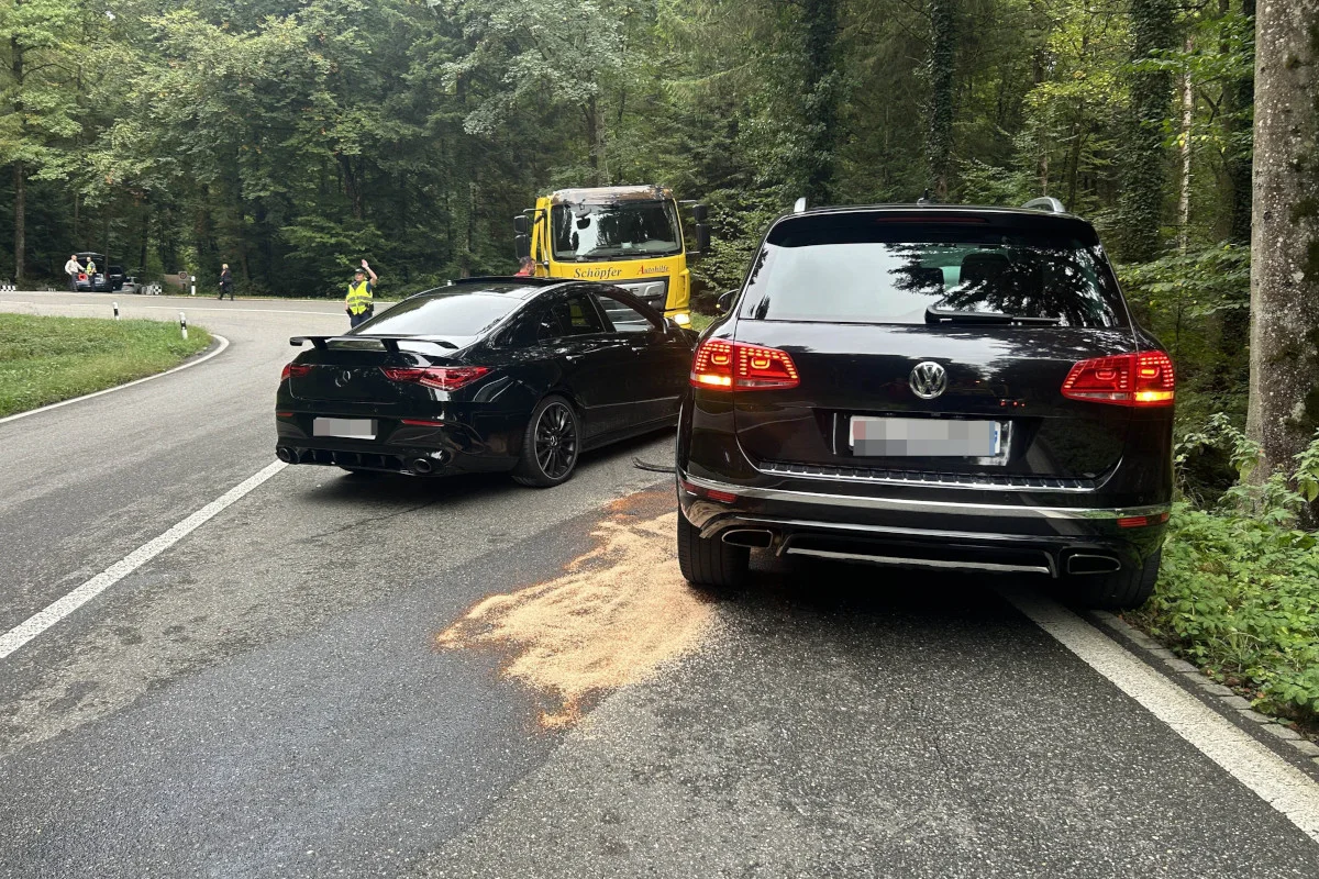 Auf einer kurvigen Waldstraße stehen zwei dunkle Fahrzeuge geparkt, eines davon ist ein VW. Im Hintergrund sind Personen zu sehen.