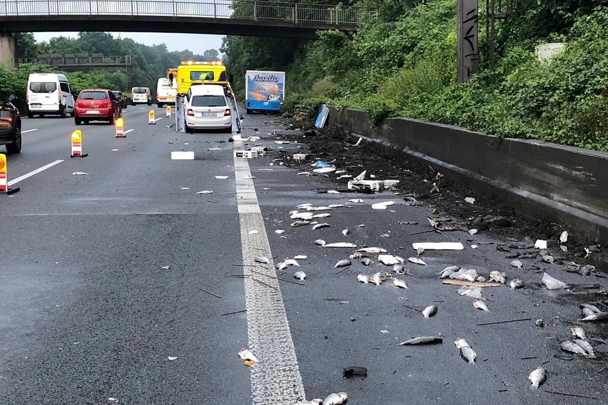 Unfall auf der A 40 - Anschlussstelle Gelsenkirchen-Süd - Speisefische auf der Fahrbahn