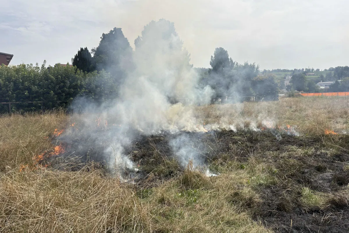 Eine Wiese brennt und es entsteht dichter Rauch, der in die Luft aufsteigt. Der Hintergrund zeigt Bäume und eine ländliche Umgebung.