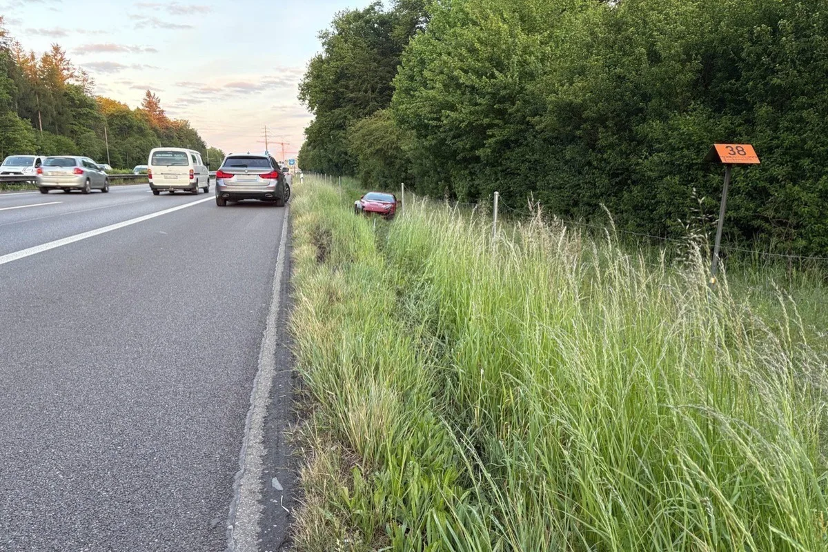 Mehrere Autos stehen auf dem Seitenstreifen einer Autobahn, während ein rotes Auto im Gras neben der Straße parkt. Ein orangefarbenes Schild mit der Nummer 38 ist am Straßenrand zu sehen.