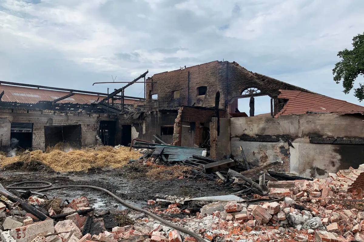 Großbrand in Holtland – Feuer zerstört Gulfhof
