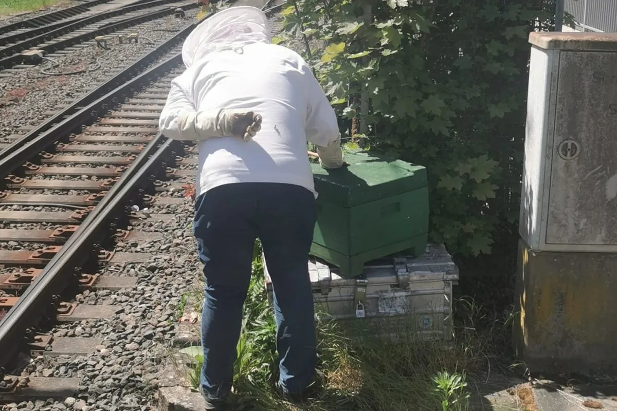 Bahnhof Siegen – Polizeieinsatz und Sperrung wegen verirrten Bienen 
