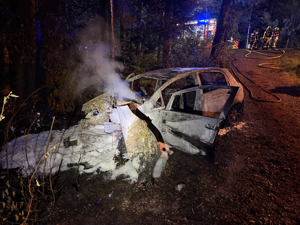 Ein stark beschädigtes und verbranntes Auto steht im Wald. Feuerwehrleute und ein Einsatzfahrzeug befinden sich im Hintergrund.