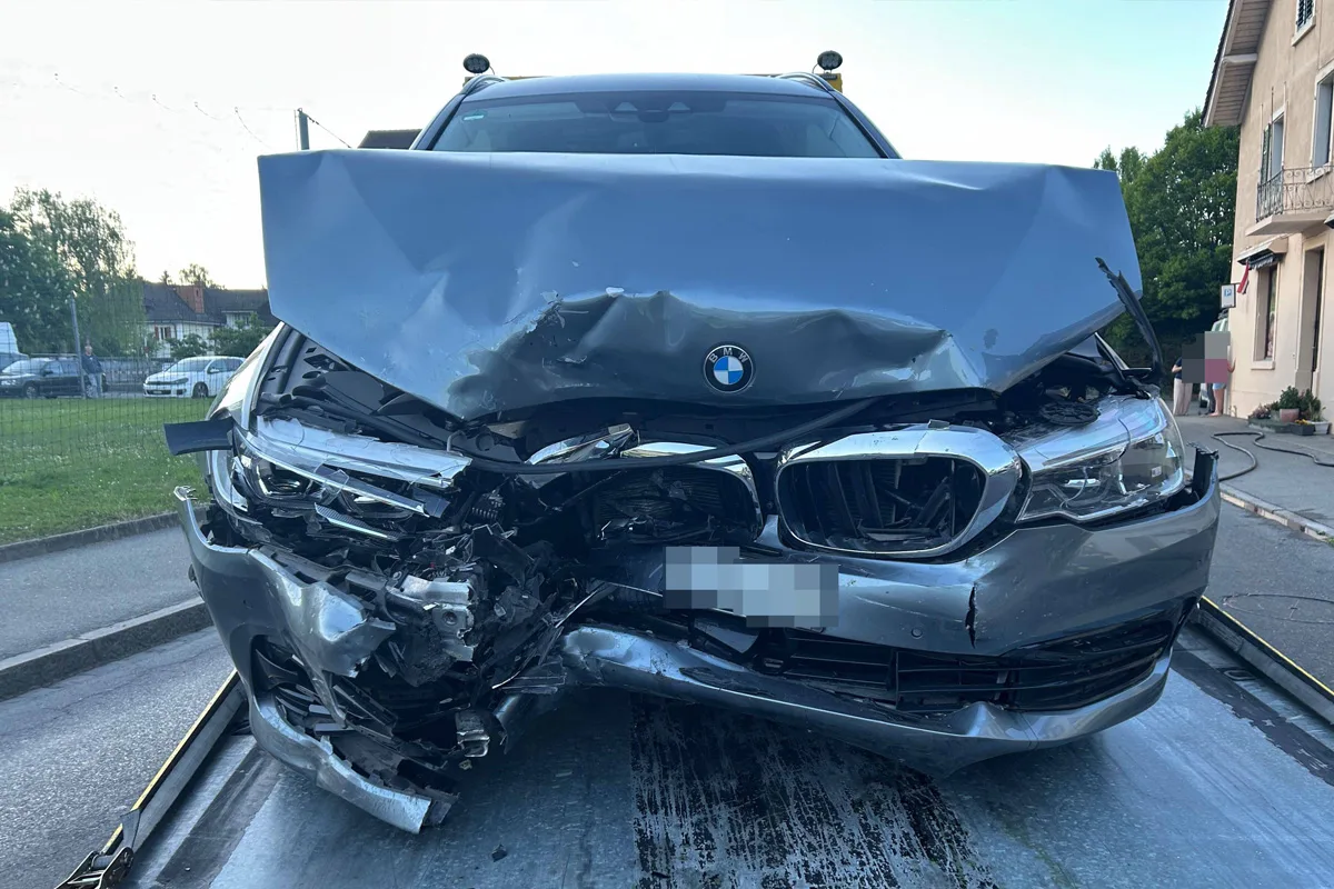 Seon AG – Frontaler Unfall durch Insekt im Auto