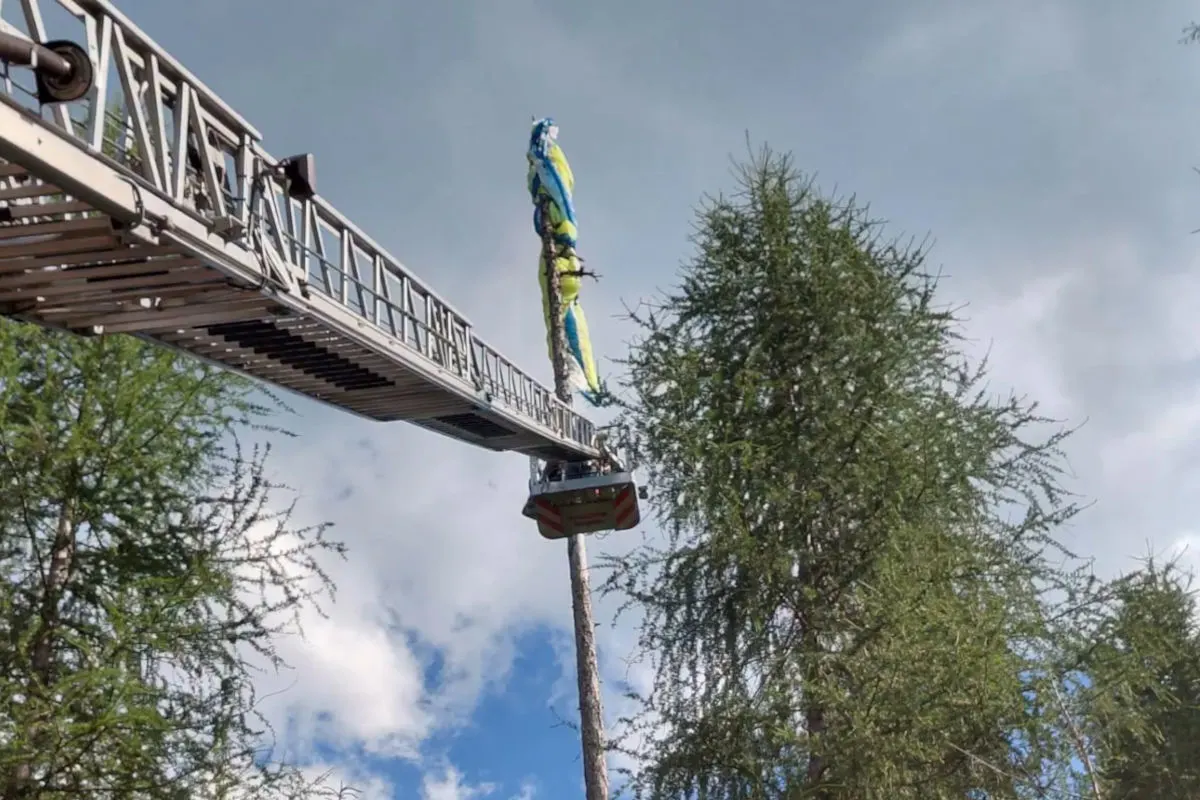 Eine Feuerwehrleiter ist ausgefahren, um eine Person von der Spitze eines hohen Baumes zu retten. Der Himmel ist teilweise bewölkt.