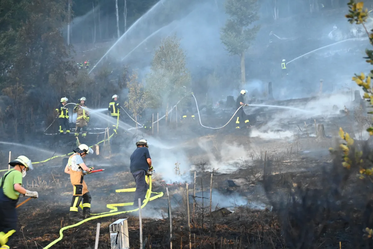 Mehrere Feuerwehrleute in Schutzkleidung bekämpfen einen Waldbrand. Rauch und brennende Vegetation sind sichtbar.