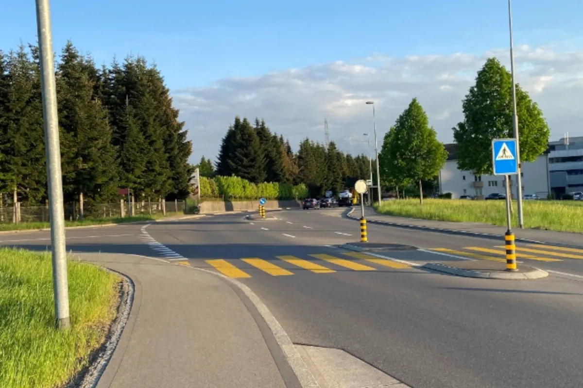 Bild zeigt eine Kreuzung mit einem Zebrastreifen, umgeben von Bäumen und einigen Fahrzeugen im Hintergrund bei klarer Witterung.
