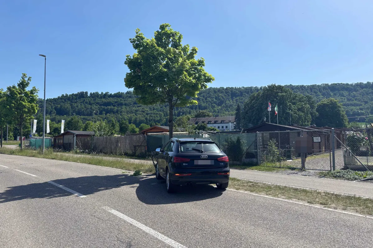 Ein schwarzer Audi Q3 parkt am rechten Straßenrand neben einem Baum. Im Hintergrund sind grüne Hügel und ein Zaun zu sehen.