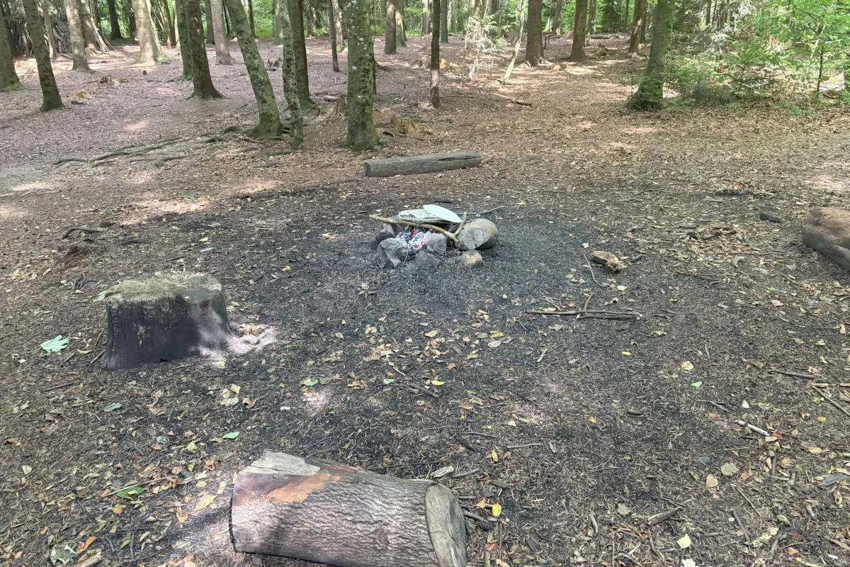 Ein abgebranntes Lagerfeuer in einer Waldlichtung mit umgestürzten Baumstämmen und verbranntem Boden.