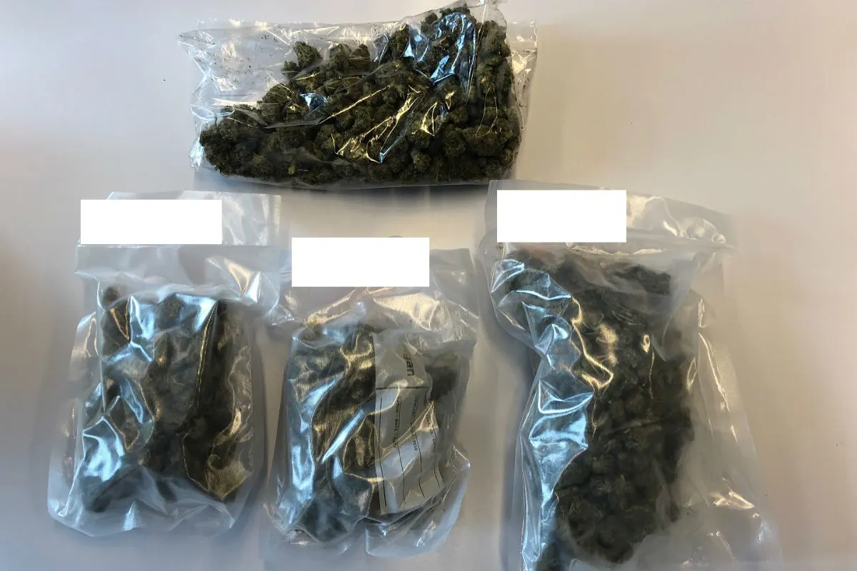 Wettswil ZH - Rund ein Kilo Cannabis sichergestellt