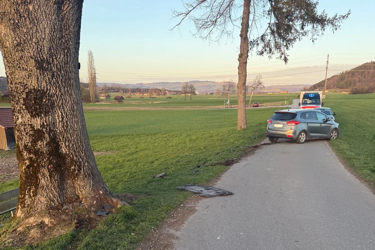 Ettiswil LU - Fahrerin prallt bei Selbstunfall gegen Baum