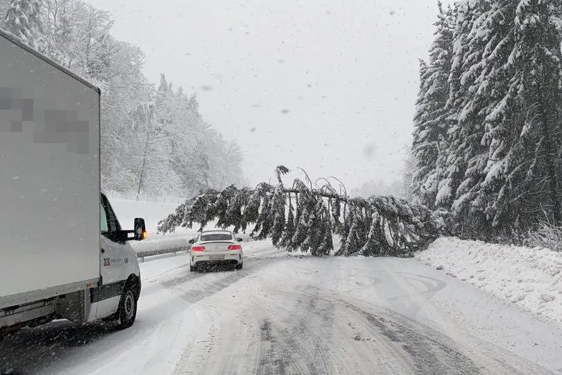 A3 bei Zürich – Baum auf Fahrbahn gestürzt