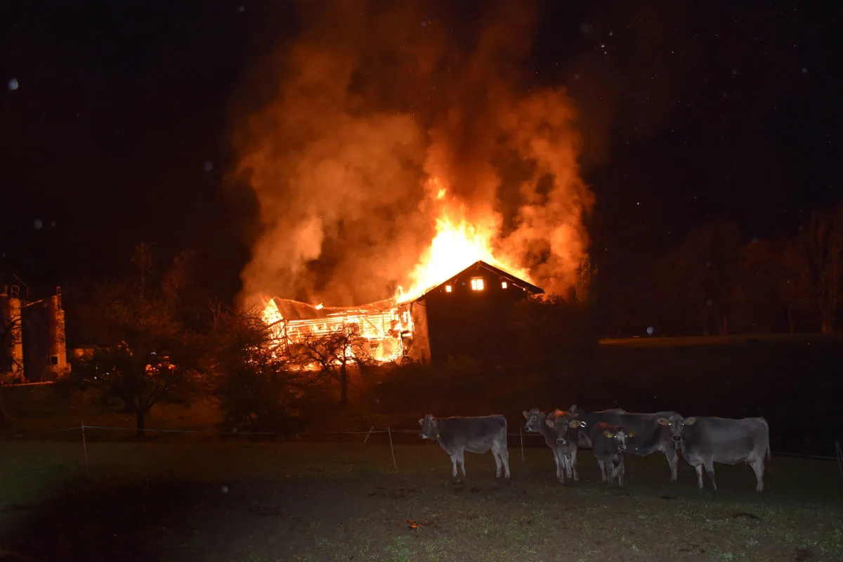 Brand Grüsch GR -  Wohnhaus und Stall abgebrannt - drei Kälber starben in den Flammen