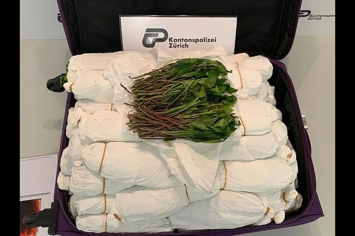 Zürich ZH - Drogenkurierinnen am Flughafen verhaftet und Khat sichergestellt