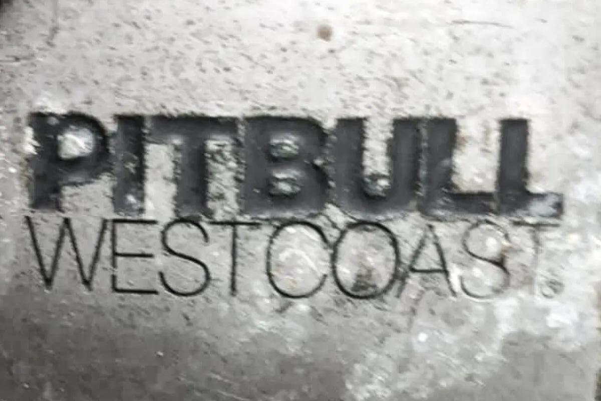 Der Schriftzug 'PITBULL WESTCOAST' ist groß und dunkel auf einer rauen, hellen Oberfläche sichtbar.