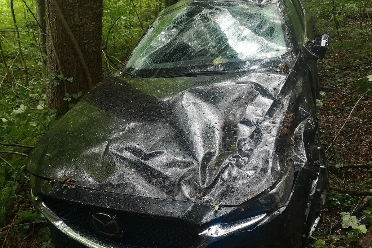 Mysteriöser Unfall in Sennhof ZH – Unfallauto ohne Lenker aufgefunden