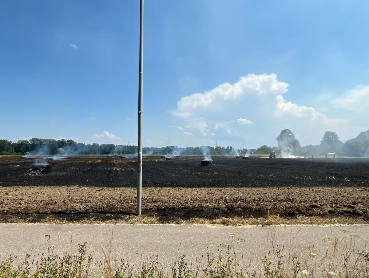 Ein abgeerntetes Feld zeigt mehrere rauchende Stellen, umgeben von Waldstreifen unter einem klaren Himmel.