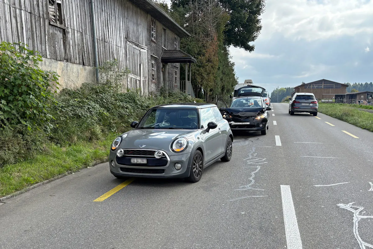 Altishausen TG – Beifahrerin bei Unfall verletzt