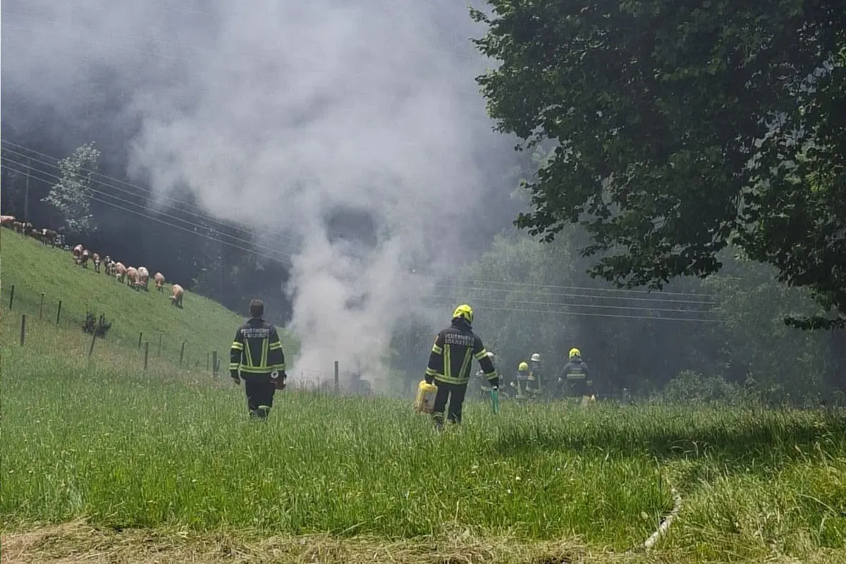 Mehrere Feuerwehrleute in Schutzkleidung nähern sich einem rauchenden Areal auf einer Wiese, während Schafe im Hintergrund sichtbar sind.