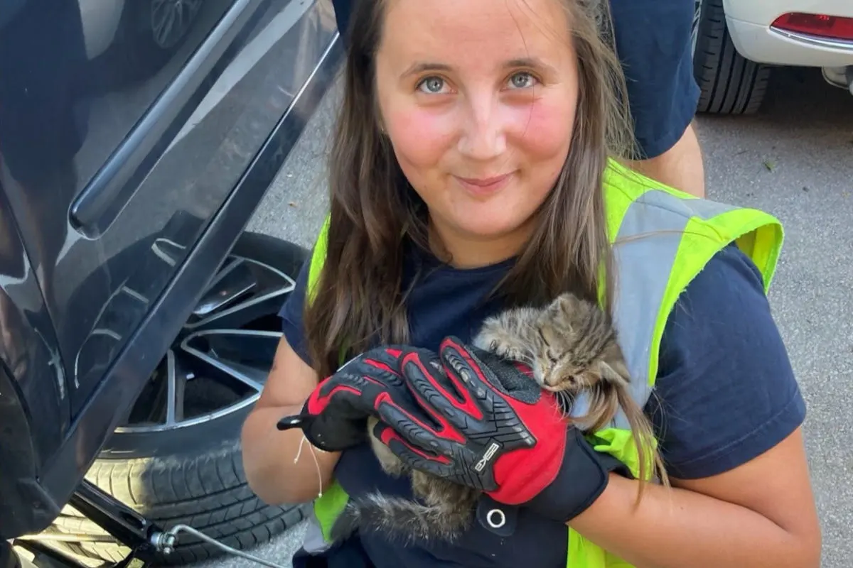 Eine Frau in einer Warnweste hält ein kleines Kätzchen in der Hand. Sie sitzt neben einem Auto mit einem angehobenen Reifen.