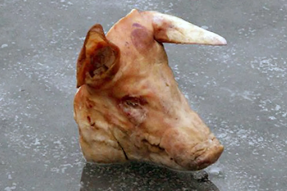 Kenzingen - Schweinekopf an Haustür angeschraubt - Zeugen gesucht