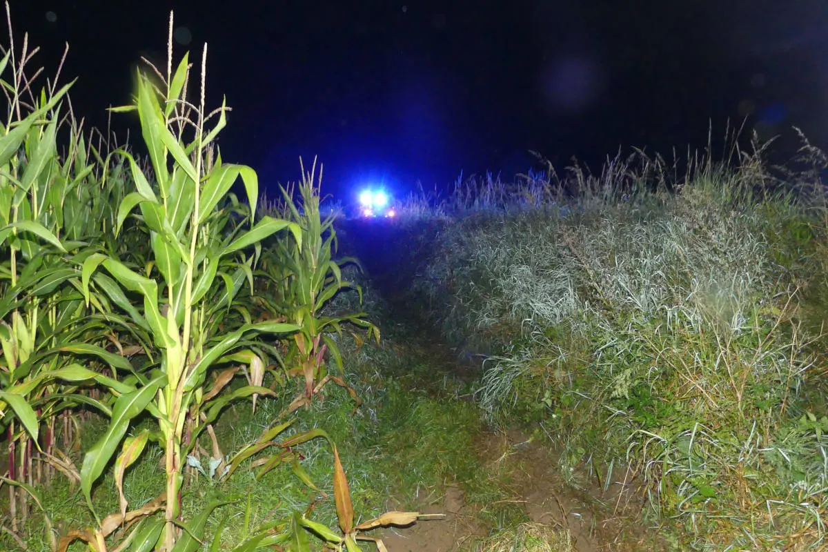 Radevormwald – Schwelmer landete schwer verletzt im Maisfeld