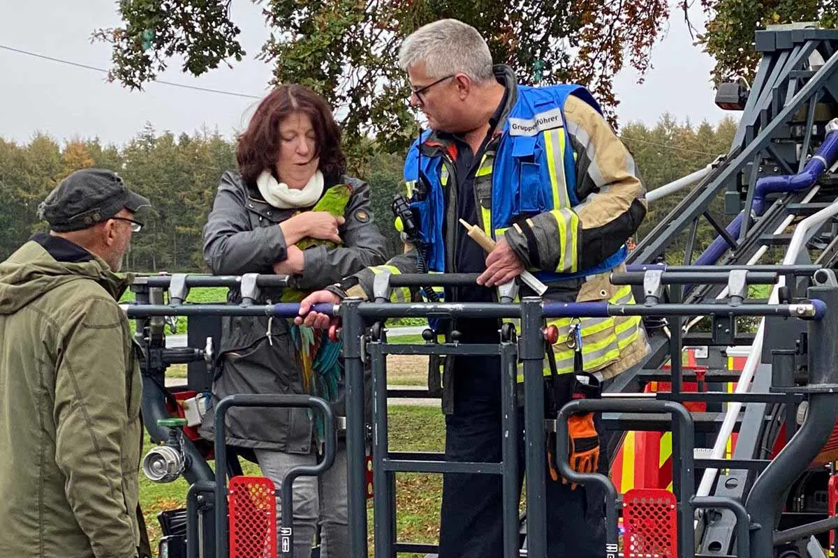 Bocholt - Feuerwehr rettet entflohenen Papagei