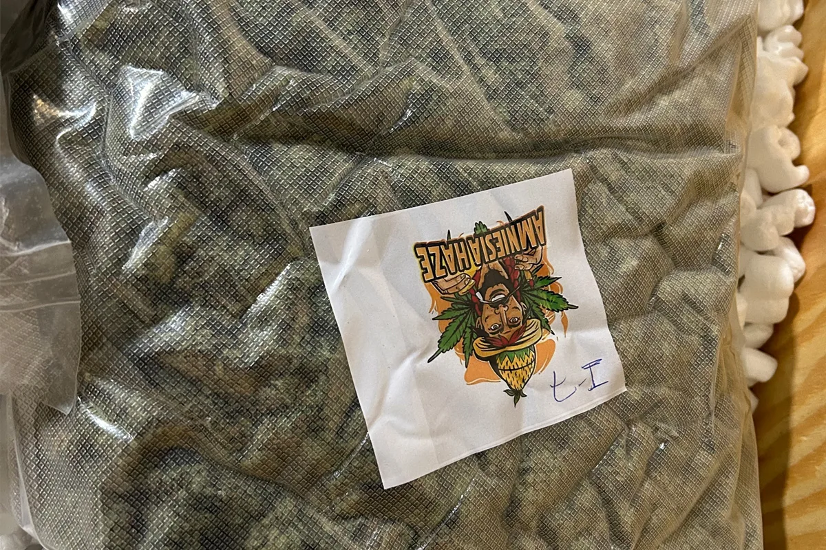 Düsseldorf – 1,5 Tonnen Marihuana sichergestellt