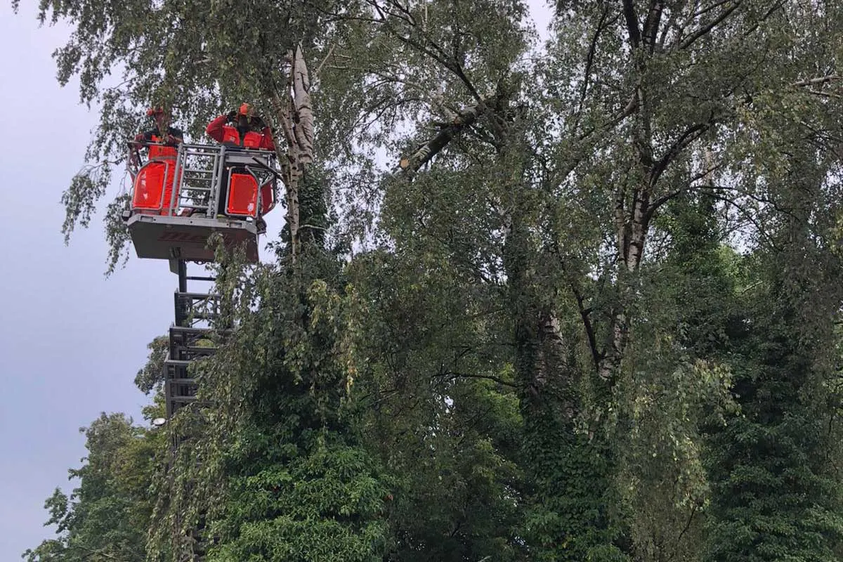 Mülheim an der Ruhr - Kurzes Unwetter