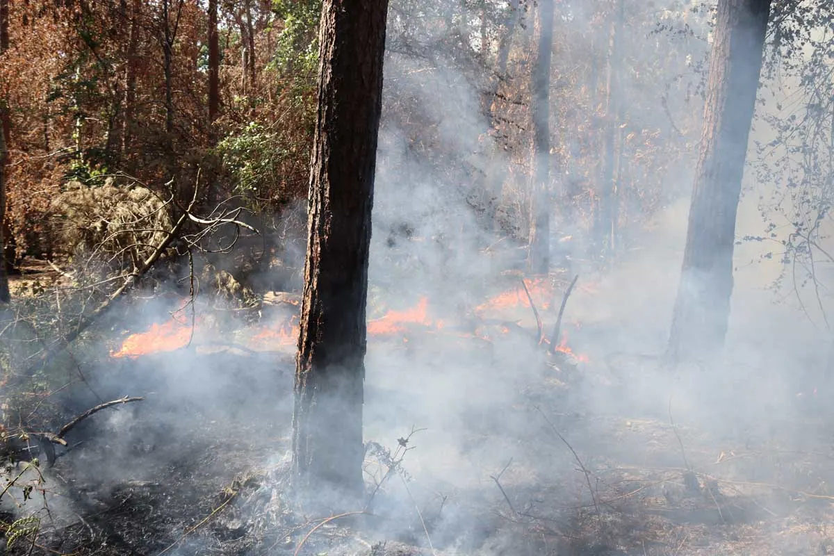 Gangelt -  Waldbrand