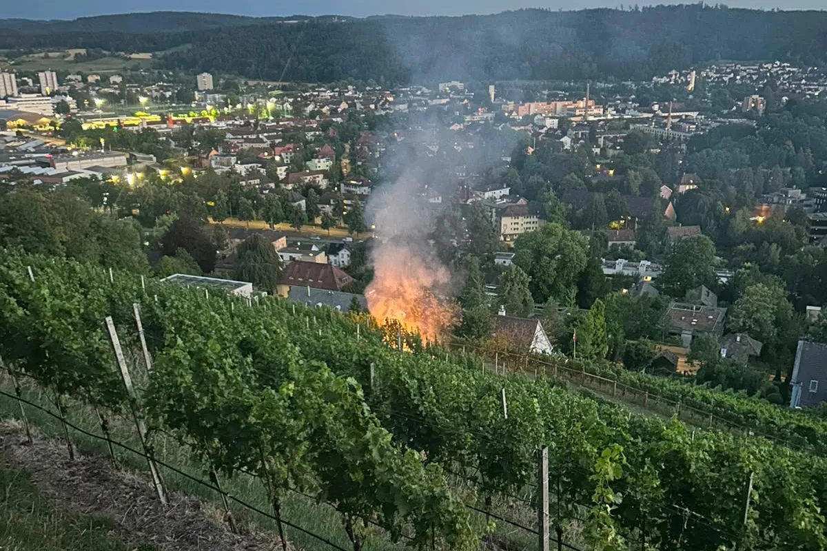 Ein Feuer brennt inmitten von Weinbergen, während Rauch aufsteigt; dahinter sieht man eine Stadtlandschaft bei Dämmerung.