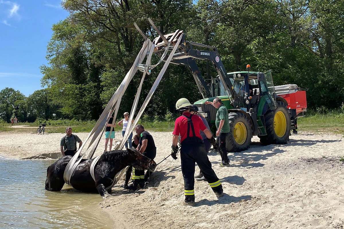 Goch-Asperden – Pferd versinkt in Spülsand