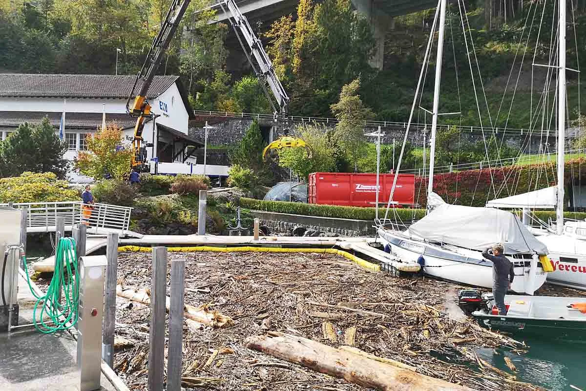 Nach Unwetter in Kanton Uri - Die Treibholzfelder im Urnersee sind bald weg