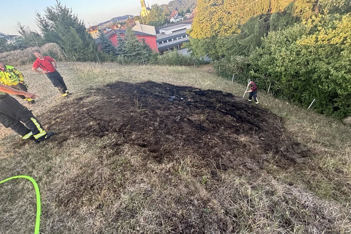 Feuerwehrkräfte stehen an einer verbrannten Wiese auf einem Hügel. Im Hintergrund sind Bäume und Gebäude zu sehen.