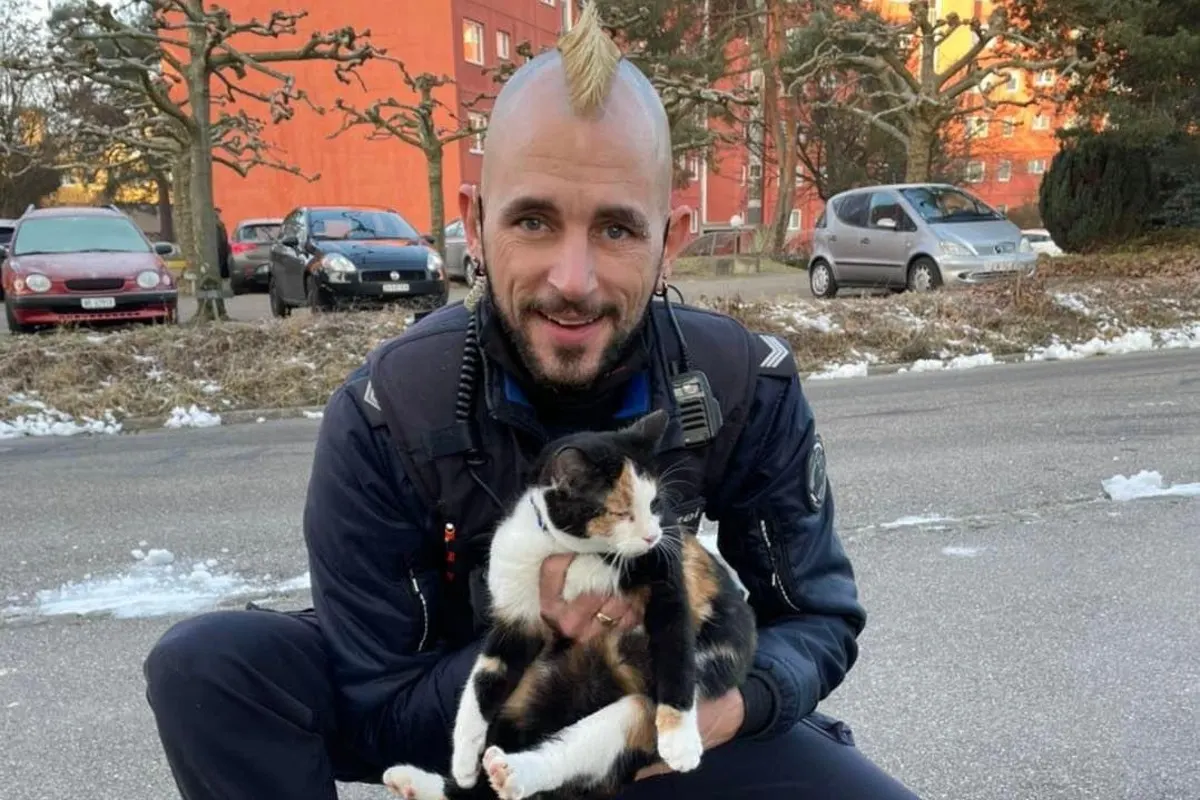 Uster ZH - Katze aus misslicher Lage gerettet