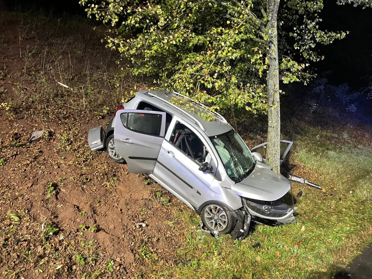 Ein silbernes Auto steht frontal gegen einen Baum und zeigt starke Beschädigungen an der Front. Das Fahrzeug befindet sich an einem Abhang, umgeben von Gras und Laub.