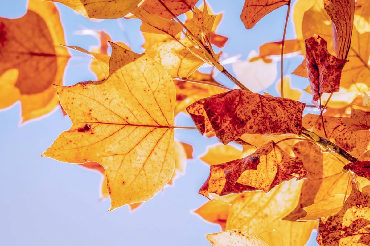 Sehr sonniger und warmer Oktober