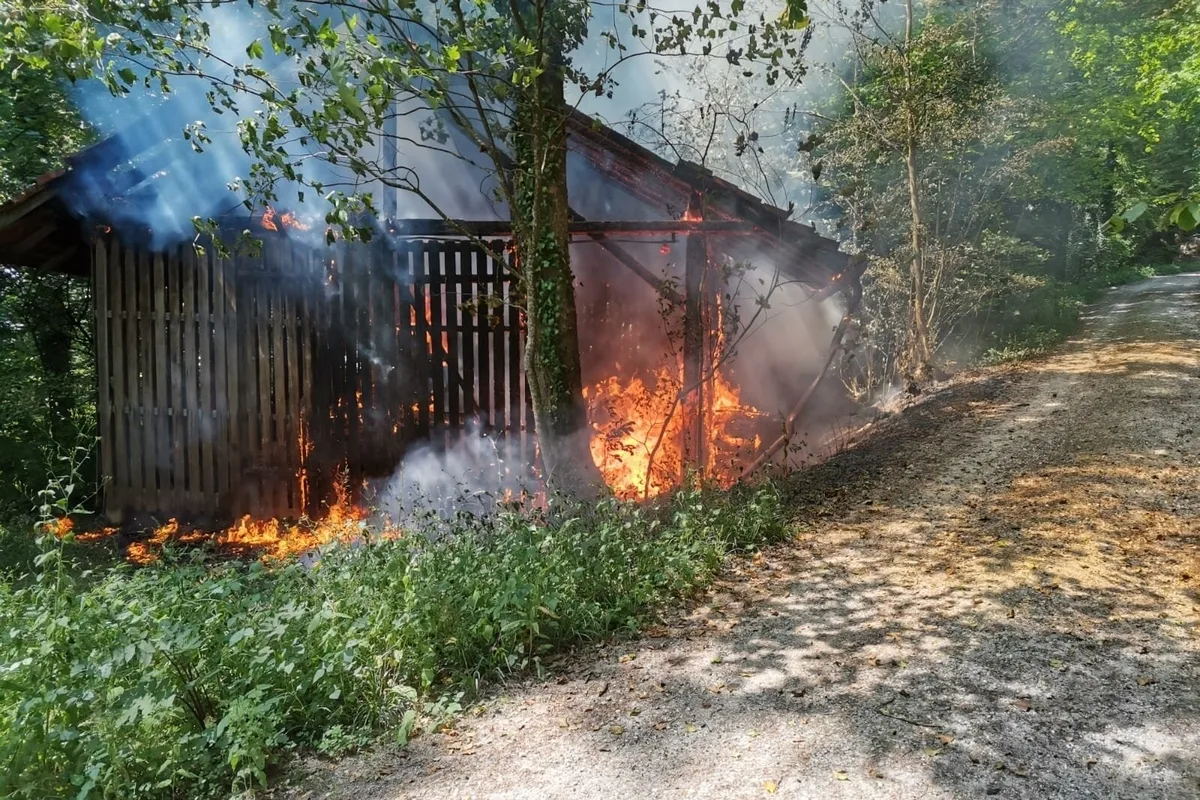 Seengen AG – Holzschopfbrand im Wald schädigt Bäume 