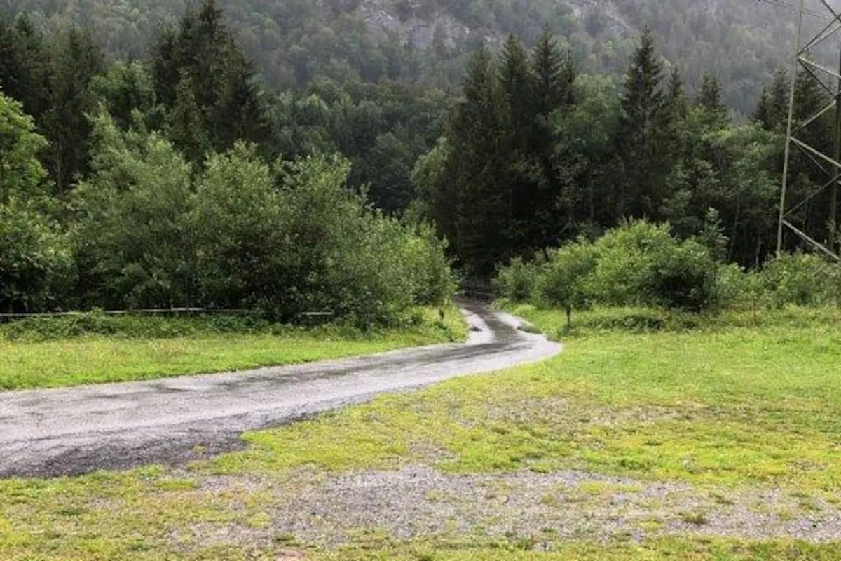 Vättis SG - Hund von zwei Hunden angegriffen