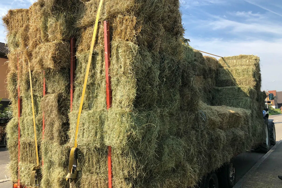 Staad SG - Traktor mit Anhänger verliert Heuballen