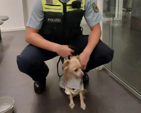 Ein Polizist in Uniform kniet auf dem Boden einer Polizeistation und hält einen kleinen Hund an der Leine.