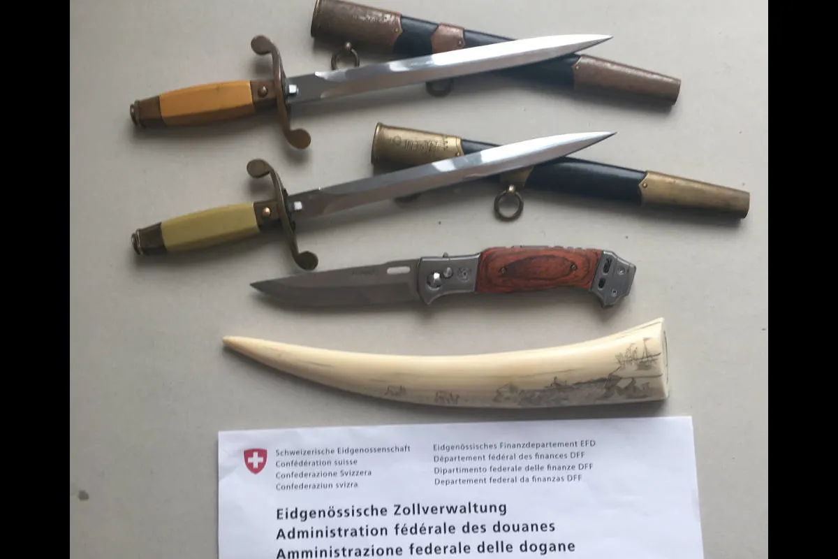 Castasegna GR - Mann mit Walrosszahn und russischen Dolchen im Gepäck gestoppt