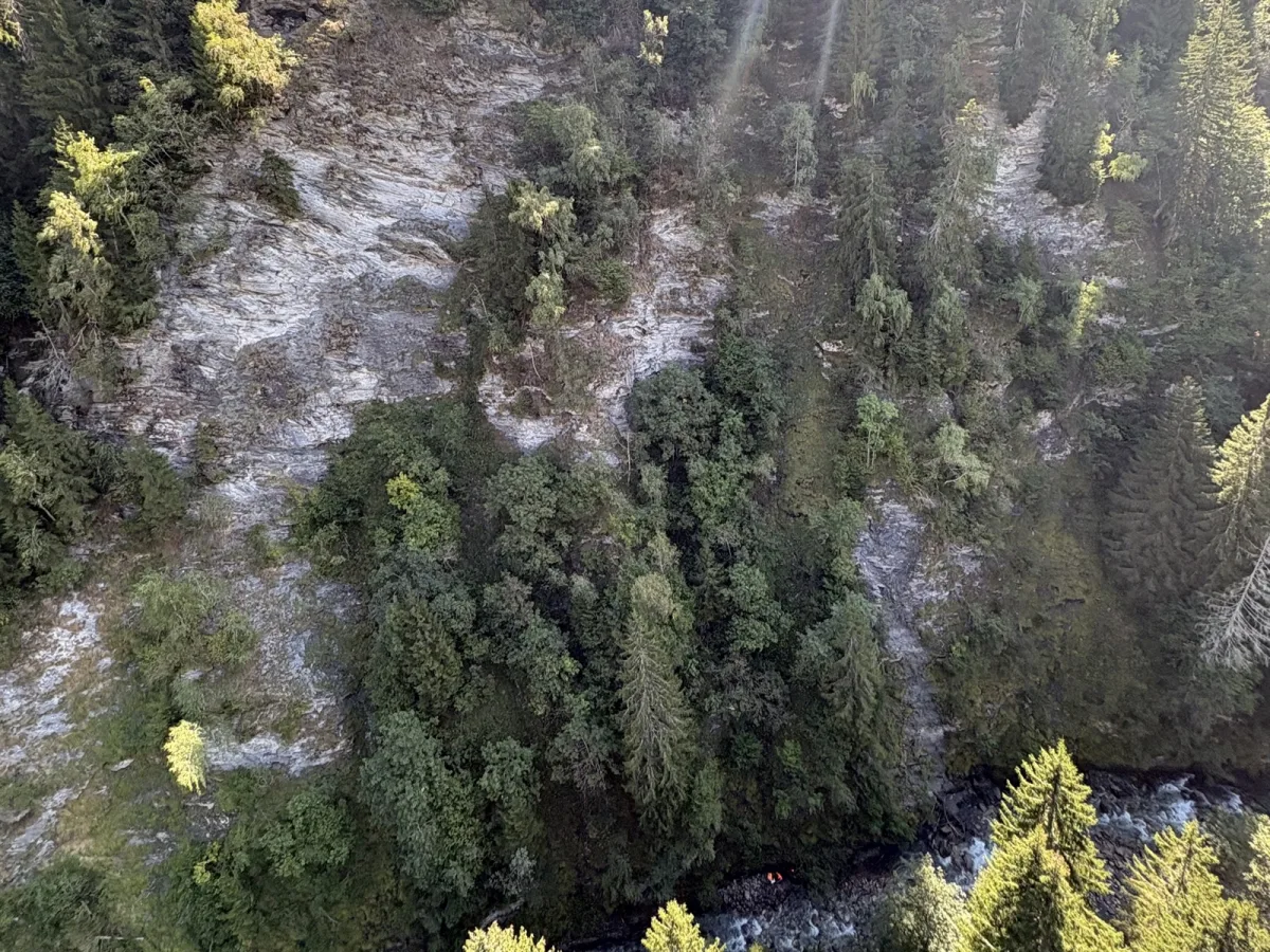 Ein steiler, von Bäumen bewachsener Hang erstreckt sich zu einem Fluss hinunter. Sonnenstrahlen durchdringen die Baumkronen.
