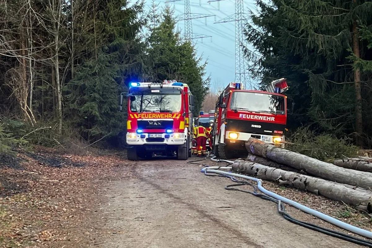 Bad Säckingen - Grosser Flächenbrand - Feuerwehr im Dauereinsatz