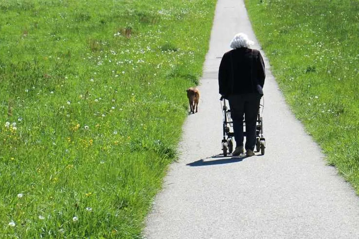 Bergkamen - Täter zieht Seniorin (88) mit Rollator zu Boden und raubt ihr die Handtasche