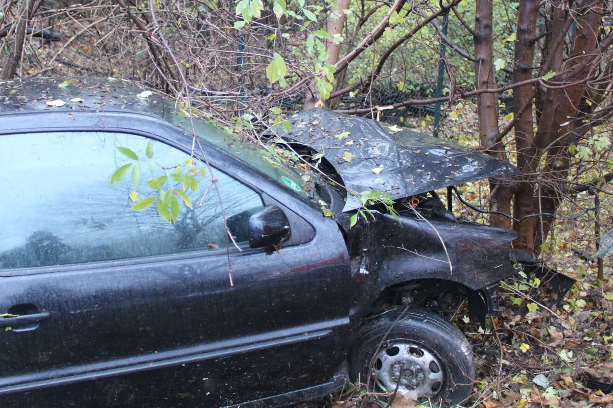 Unfall in Duisburg-Friemersheim – Gegen den Baum geprallt