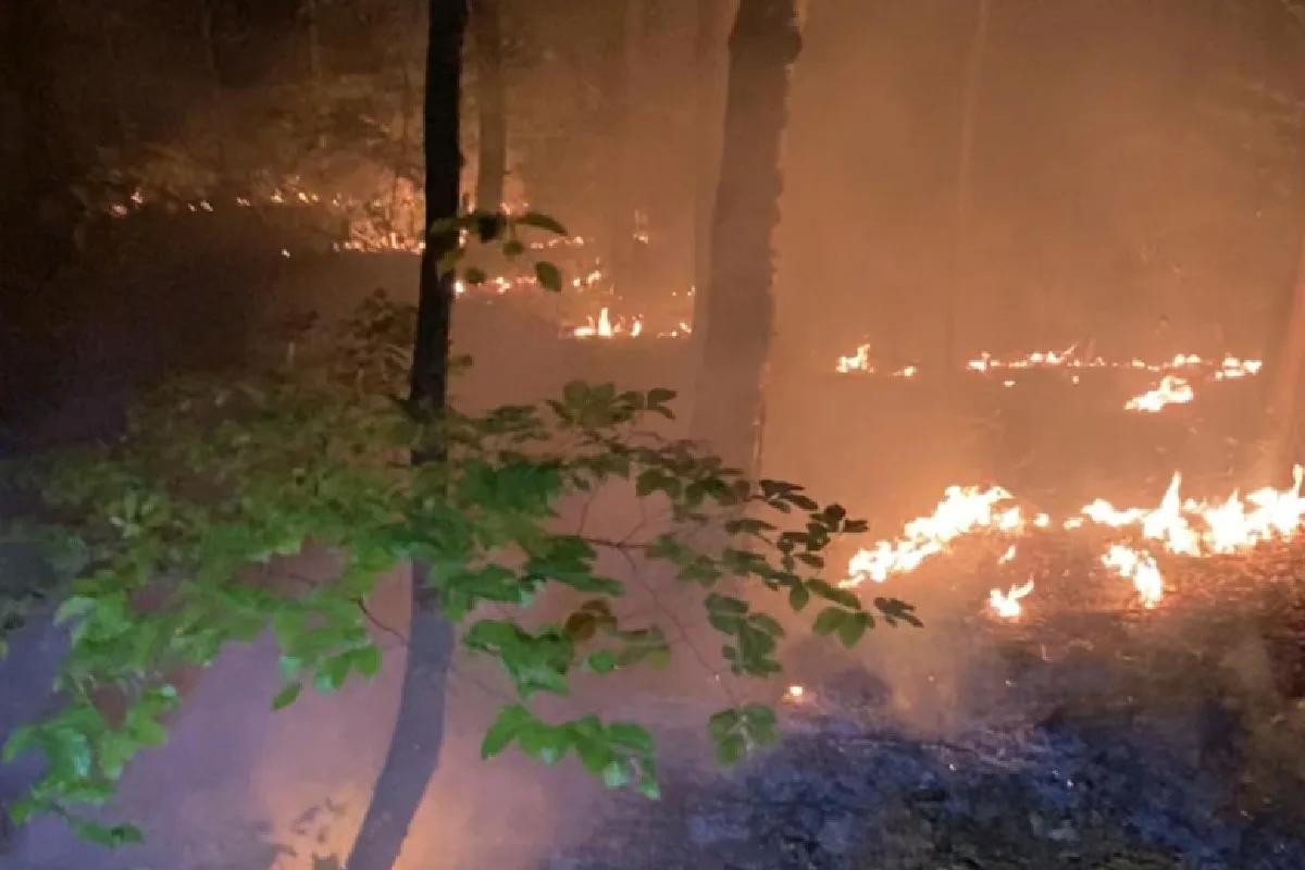 Arlesheim BL - Es brannte im Wald!